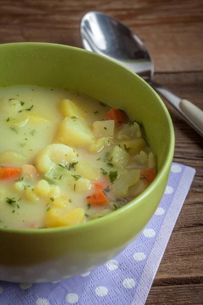 Supă de legume în castron . — Fotografie, imagine de stoc