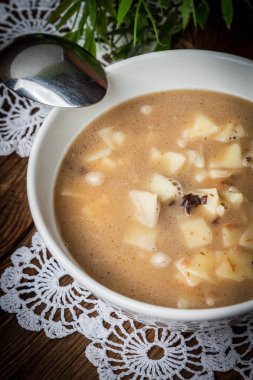 erişte ile mantar çorbası.
