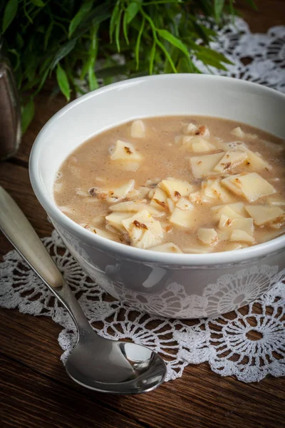 Soupe aux champignons aux nouilles . — Photo