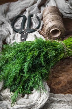 Taze dereotu. Bahçe otlar.