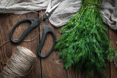 Taze dereotu. Bahçe otlar.