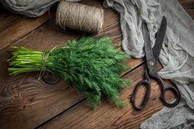 Taze dereotu. Bahçe otlar.