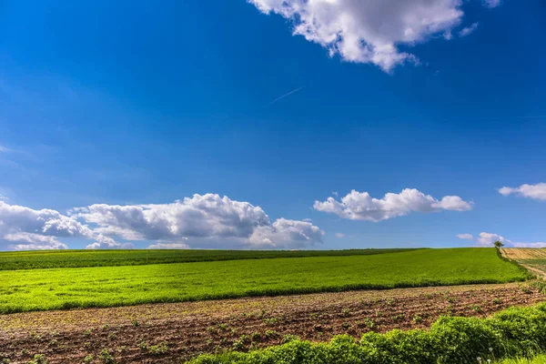 Bela paisagem de primavera e céu nublado . — Fotografia de Stock