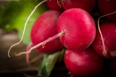 Büyük Demet taze turp.