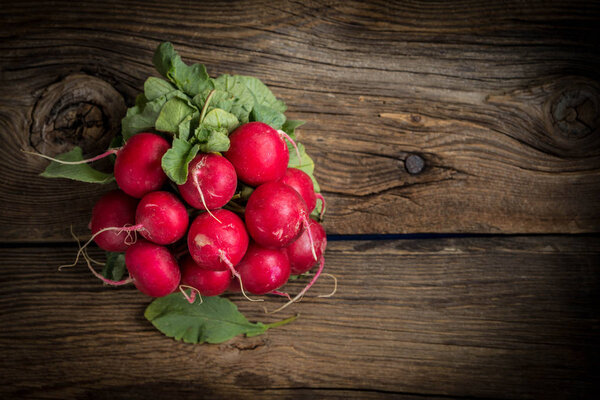 Large bunch of fresh radish.