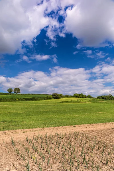 Bela paisagem de primavera e céu nublado . — Fotografia de Stock