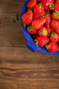 Ev bahçesinden taze çilek.