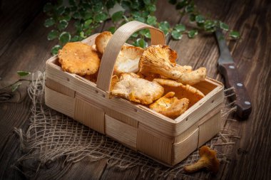 Ormanın taze hasat mantar.