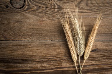 Kulakları buğday üzerinde gri bir ahşap masa