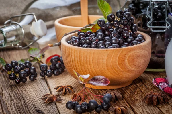 Fruits of black chokeberry prepared for processing. — Stock Photo, Image