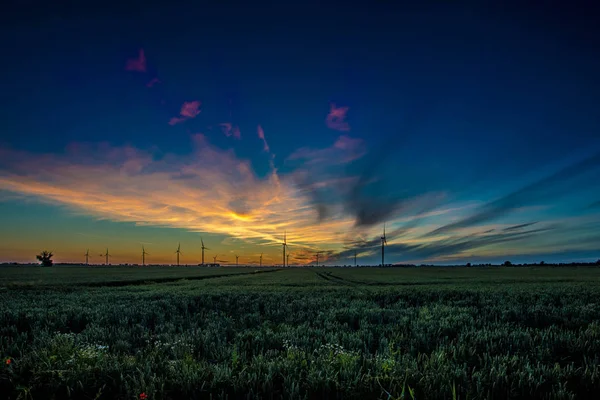 Gün batımında rüzgar türbinleri silueti.