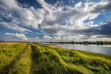 Vistula Nehri'nin kıyısında.