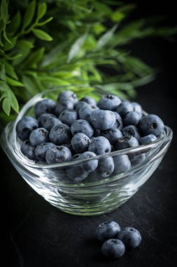 Yaban mersini organik antioksidan bir kase.