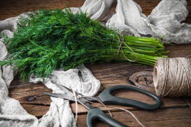 Taze dereotu. Bahçe otlar.