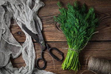 Taze dereotu. Bahçe otlar.