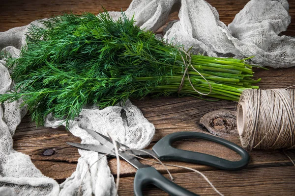 Taze dereotu. Bahçe otlar.