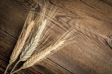 Kulakları buğday üzerinde gri bir ahşap masa