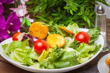 Croutons karışık salata.