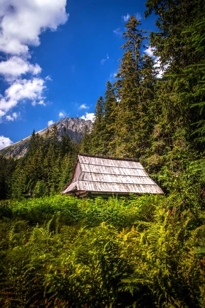 Antigua cabaña en la Cordillera de Tatras . —  Fotos de Stock