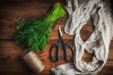 Taze dereotu. Bahçe otlar.