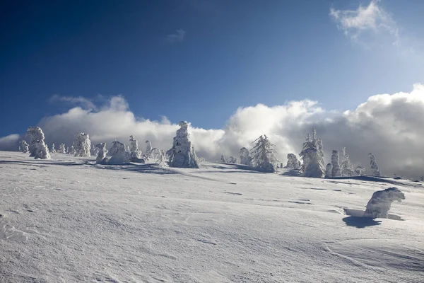 Invierno profundo en montañas gigantes . —  Fotos de Stock