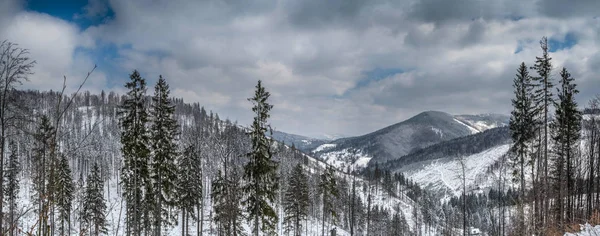 산속의 겨울 풍경의 파노라마. — 스톡 사진