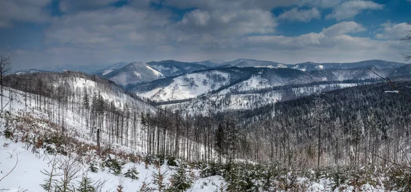 Панорама зимнего пейзажа в горах. — стоковое фото