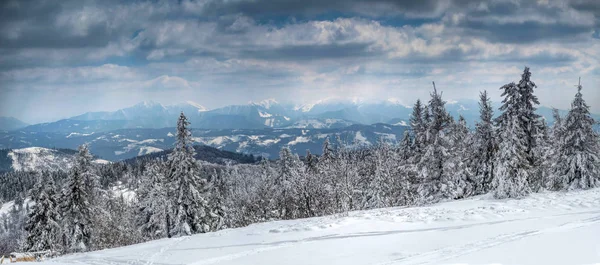 Panorama zimowego krajobrazu w górach. — Zdjęcie stockowe