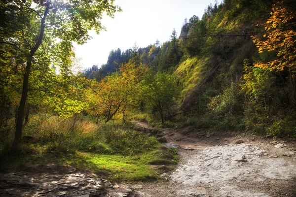 Homole-szurdok Pieniny-hegyekben. — Stock Fotó