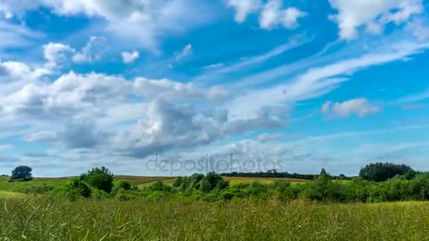 Champ de viol et ciel bleu avec des nuages en mouvement. Timelapse 4K .