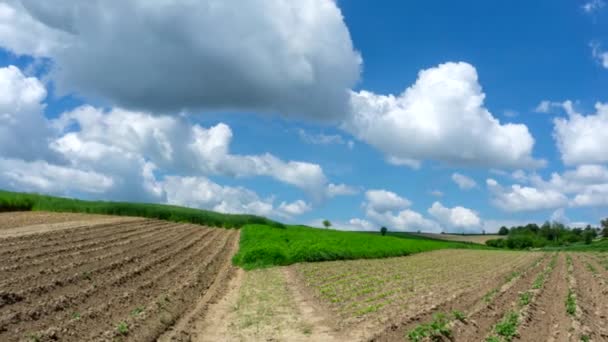 Timelapse Campos Cultivados Relacionados Com Nuvens Fluindo Céu Azul — Vídeo de Stock