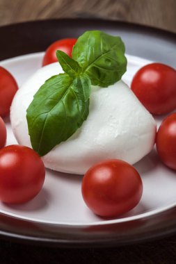 Mozzarella peyniri, domates ve fesleğen.