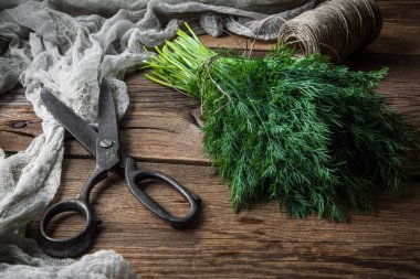 Taze dereotu. Bahçe otlar.