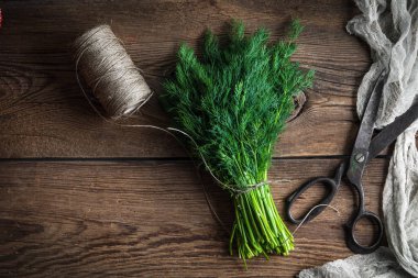 Taze dereotu. Bahçe otlar.