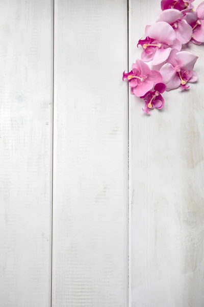 Künstliche Orchideen auf weißem Holzhintergrund. — Stockfoto