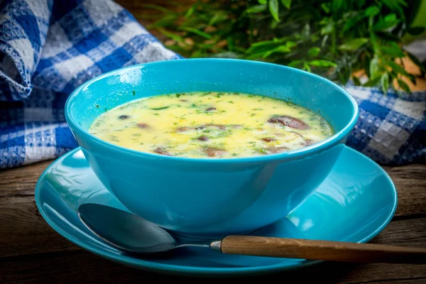 Kom van vegetarische champignonsoep. — Stockfoto