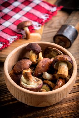 Orman mantar ahşap kase.