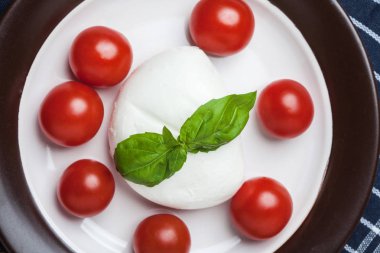 Mozzarella peyniri, domates ve fesleğen.