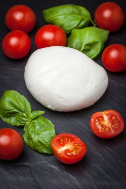 Mozzarella peyniri, domates ve fesleğen.