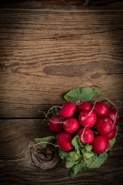 Büyük Demet taze turp.