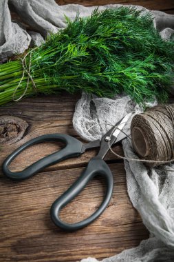 Taze dereotu. Bahçe otlar.