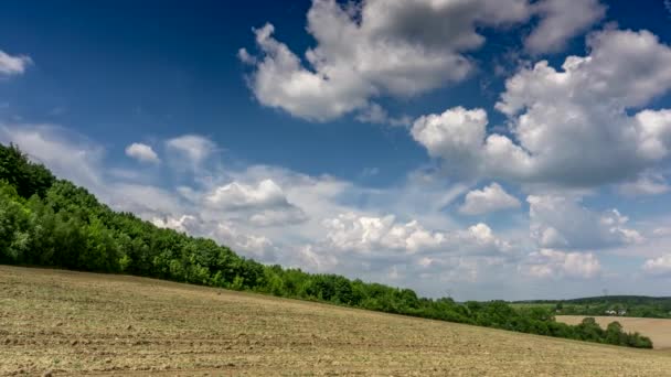 Weiße Wolken Blauen Himmel — Stockvideo