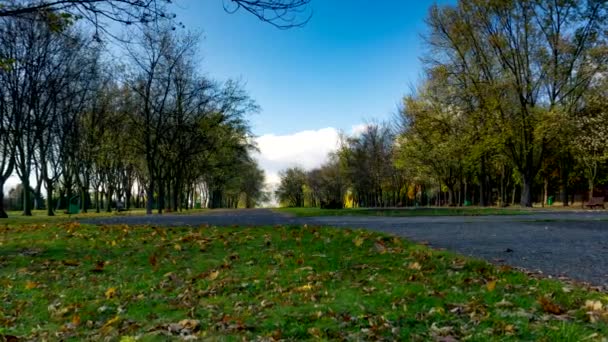 Herbsttag Stadtpark Herbstfarben — Stockvideo