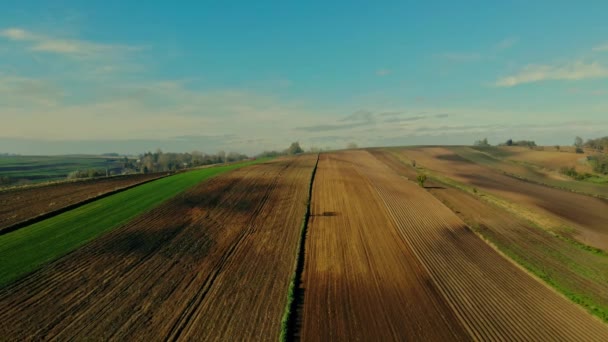 Полет Над Обрабатываемыми Полями Свете Осеннего Солнца — стоковое видео