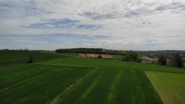 Vista Dos Campos Cultivados Primavera — Vídeo de Stock