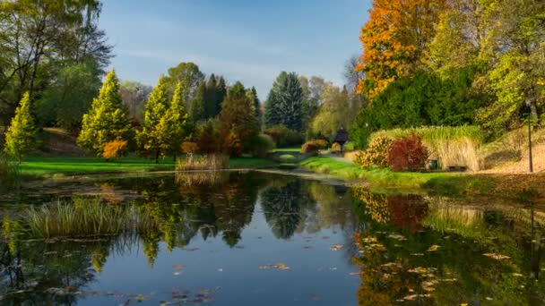 Timelapse Herfst Landschap Het Stadspark — Stockvideo