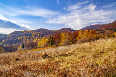 Karpatların sonbahar zirvelerinin manzarası..