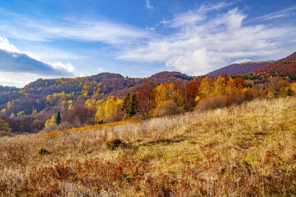 Landschap van herfsttoppen van de Karpaten. — Stockfoto