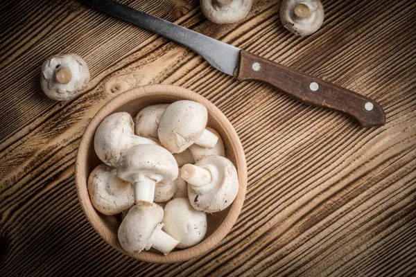 Cogumelos de champignon brancos frescos . — Fotografia de Stock