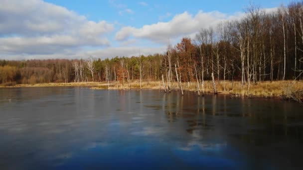 Bergbaugrube Wald Mit Wasser Überflutet — Stockvideo